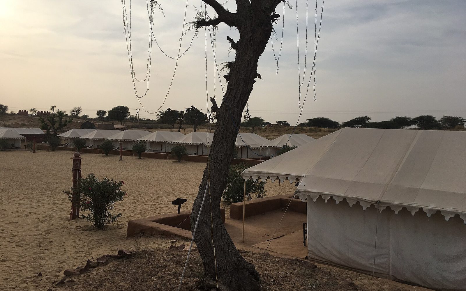 Osian Sand Dunes